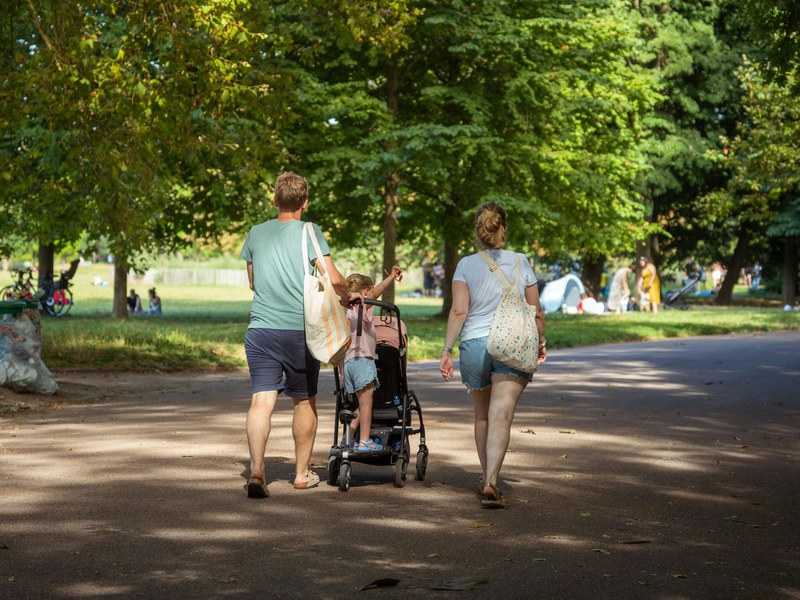 Family walking through a tree-lined park